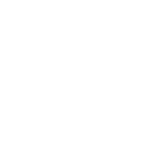 SXCEL LOGO white