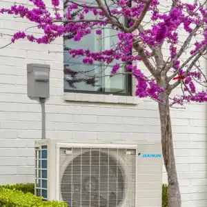 Daikin FIT outdoor unit near red bud tree