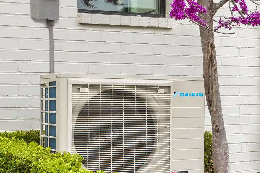 Daikin FIT outdoor unit near red bud tree